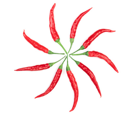 red hot chili peppers isolated on white background. Top view. Flat lay pattern.の写真素材