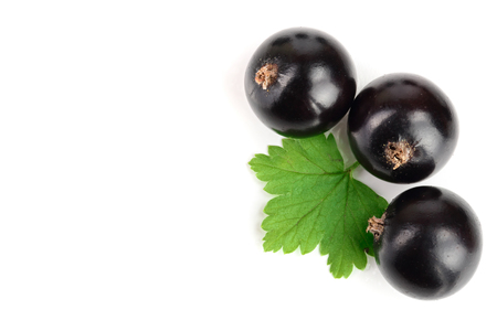 black currant with leaves isolated on white background with copy space for your text. Top view. Flat lay pattern.の写真素材