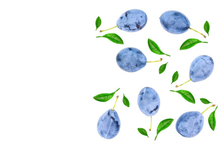 Plums isolated on a white background with copy space for your text. Top view. Flat lay pattern.の写真素材