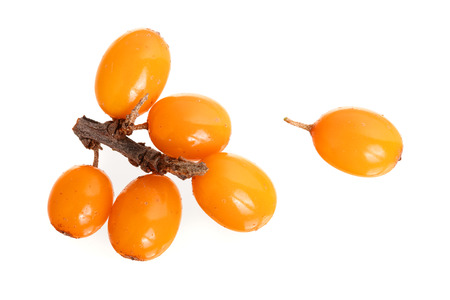 Sea buckthorn. Fresh ripe berry isolated on white background. Top view. Flat lay pattern.