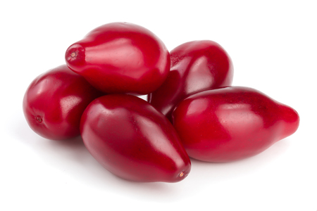 Red berries of cornel or dogwood isolated on white background.の写真素材
