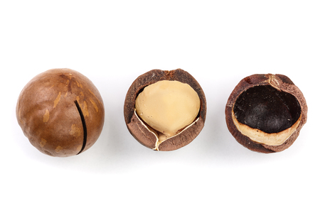 Shelled and unshelled macadamia nuts isolated on white background.の写真素材