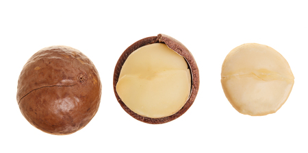 Shelled and unshelled macadamia nuts isolated on white background. Top view. Flat lay pattern.の写真素材