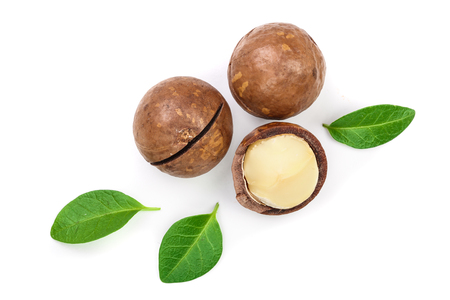 Shelled and unshelled macadamia nuts with leaves isolated on white background with copy space for your text. Top view. Flat lay pattern.の写真素材