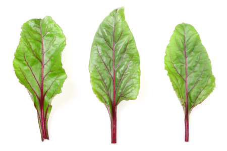 fresh beet leaf isolated on white background. Top view. Flat lay pattern.の写真素材