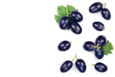 bue grapes wih leaves isolated on the white background with copy space for your text. Top view. Flat lay pattern.の写真素材