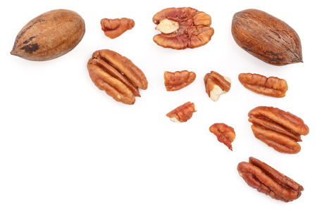 pecan nut isolated on white background with copy space for your text. Top view. Flat lay.