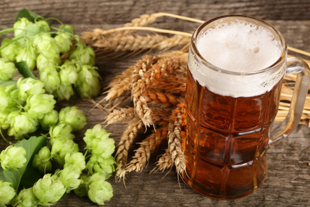 glass of foamy beer with hop cones and wheat on old wooden background