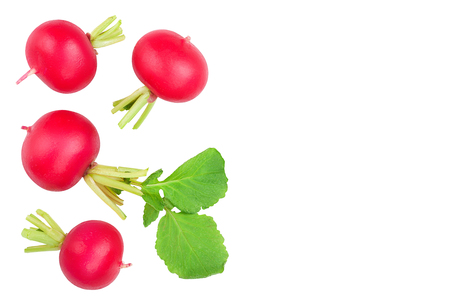 fresh whole radish isolated on white background with copy space for your text. Top view.の写真素材