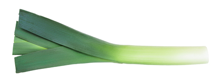 Leek vegetable closeup isolated on white background. Top view. Flat layの写真素材
