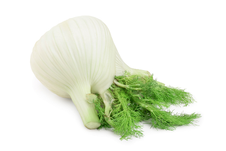 Fennel Bulb. Single fresh fennel bulb with leaves on white background.の写真素材