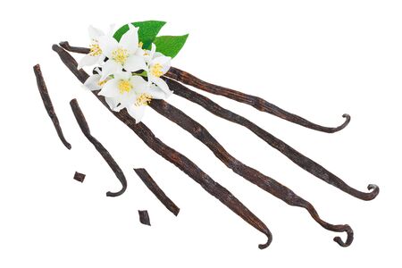 Vanilla sticks with flower and leaf isolated on white background.の写真素材