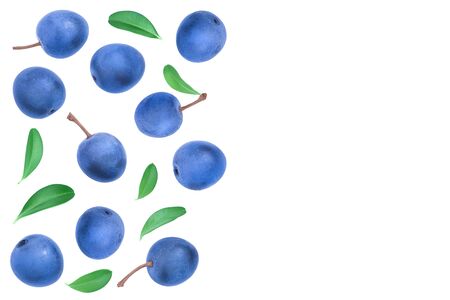 Blackthorn or Sloe berries with leaves isolated on white background with copy space for your text. Top view. Flat layの写真素材