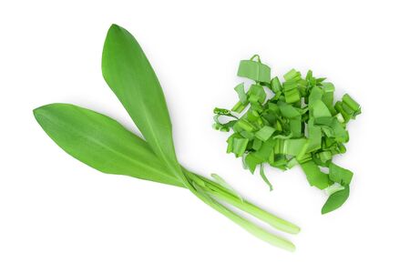 Ramson bunch vegetable isolated on white background with  full depth of field, Top view. Flat lay