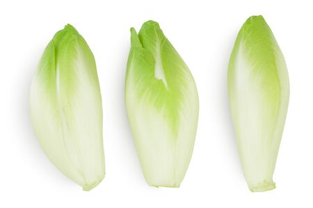 Chicory salad isolated on white