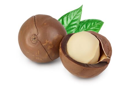 macadamia nuts isolated on white backgroundの写真素材