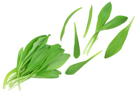 Ramson leaves isolated on white background with   full depth of field, Top view. Flat lay