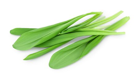 Ramson bunch vegetable isolated on white background with clipping path and full depth of fieldの写真素材