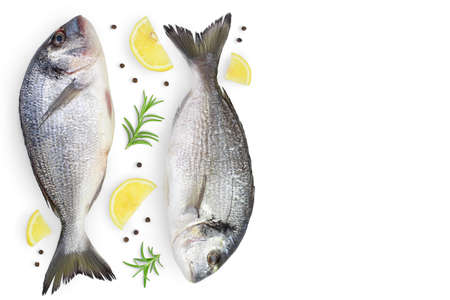 Fish dorado isolated on white background  . Top view with copy space for your text. Flat lay