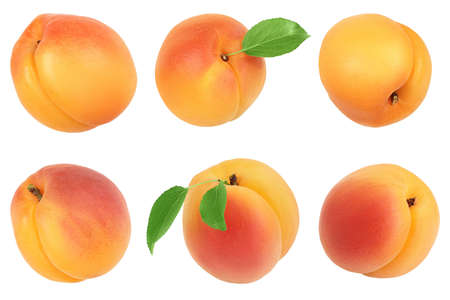apricot fruit isolated on white background.の写真素材