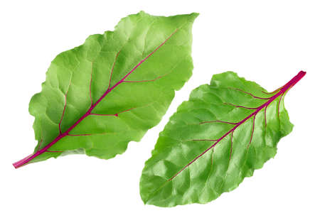 Beetroot leaf isolated on white background with clipping path and full depth of field. Top view. Flat layの写真素材