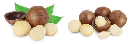 macadamia nuts isolated on white backgroundの写真素材