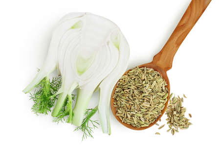 fresh fennel bulb with seed isolated on white background and full depth of field. Top view. Flat layの写真素材