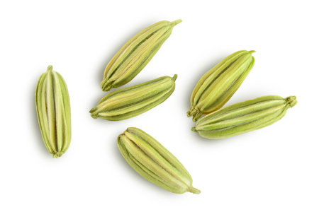 Dried fennel seeds isolated on white background  . Top view. Flat layの写真素材