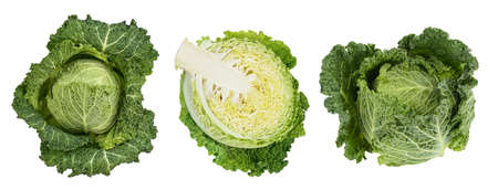Savoy cabbage with half isolated on white background with full depth of field, Set or collectionの写真素材