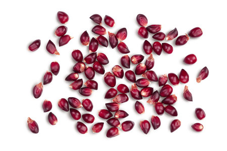 Purple corn or maize seeds isolated on white background