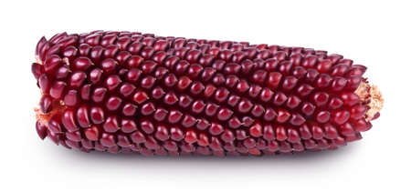 Purple corn or maize isolated on white background with clipping path and full depth of fieldの写真素材