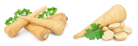 Parsnip root isolated on white background closeupの写真素材