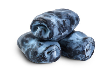 Fresh honeysuckle blue berry isolated on white background with full depth of fieldの写真素材