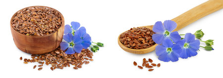flax seeds in wooden spoon with flower isolated on white backgroundの写真素材