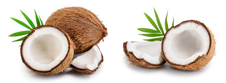 coconut with leaves isolated on white backgroundの写真素材