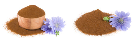chicory flower and powder of instant chicory isolated on a white background. Cichorium intybus.の写真素材