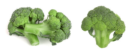 fresh broccoli isolated on white background close-up. Top viewの写真素材