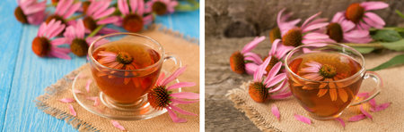 Cup of echinacea tea on blue wooden tableの写真素材