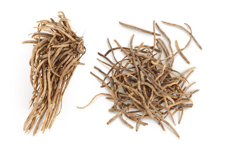 Dried Valerian root isolated on white background. Valeriana officinalis with full depth of field....