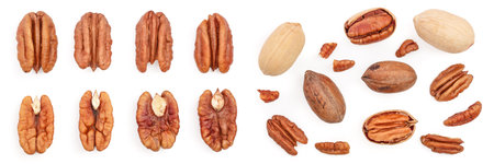 pecan nut decorated isolated on white background. Top view. Flat lay. Set or collectionの写真素材