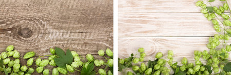 Fresh green hop cones on old wooden background. Ingredient for beer production. Top view with copy space for your textの写真素材