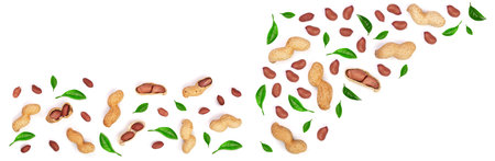 Peanuts decorated with green leaves isolated on white background, top view. Flat lay patternの写真素材