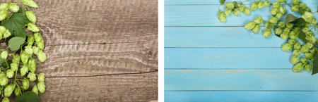 Fresh green hop cones on old wooden background. Ingredient for beer production. Top view with copy space for your textの写真素材