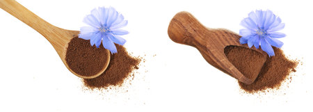 chicory flower and powder of instant chicory in wooden scoop isolated on a white background. Cichorium intybusの写真素材