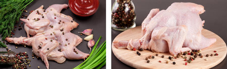 raw chicken carcass with peppercorns and greenery on a dark backgroundの写真素材