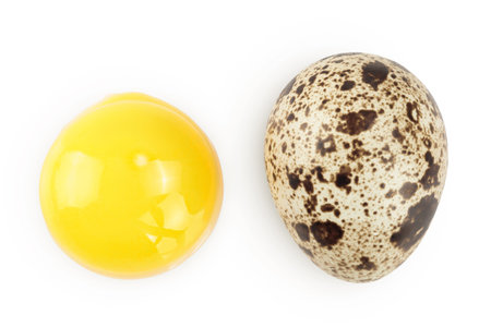 Raw quail egg isolated on white background with full depth of field. Top view. Flat layの写真素材
