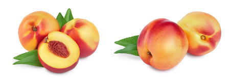 Nectarine fruit and half with leaf isolated on white background cutoutの写真素材