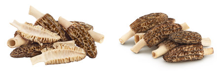 raw morel mushroom isolated on white background with full depth of field