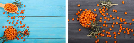Sea buckthorn. Ripe fresh berries in bowl on blue wooden background with copy space for your text. Top viewの写真素材