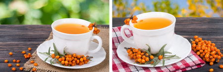 Tea of sea-buckthorn berries with honey on wooden table blurred garden backgroundの写真素材